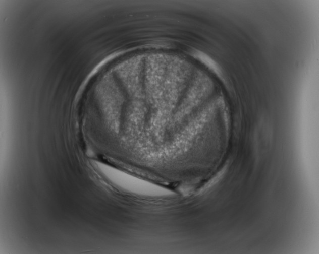 X0000085290923200703301935