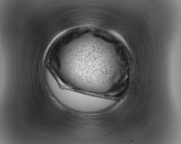 X0000085290924200703301935