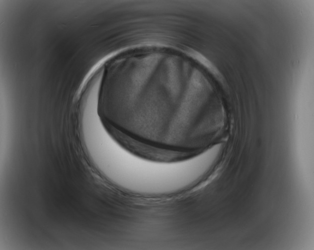 X0000085290926200703301935