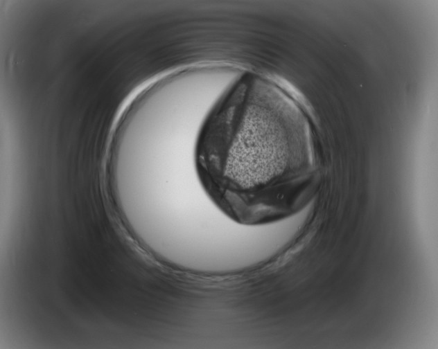 X0000085290928200703301935