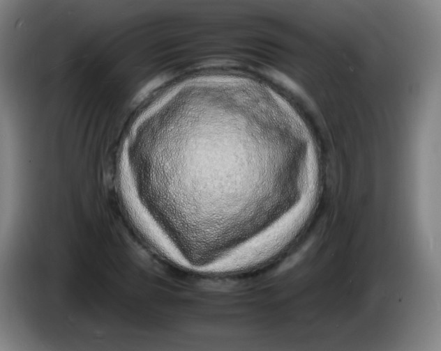 X0000085290929200703301935