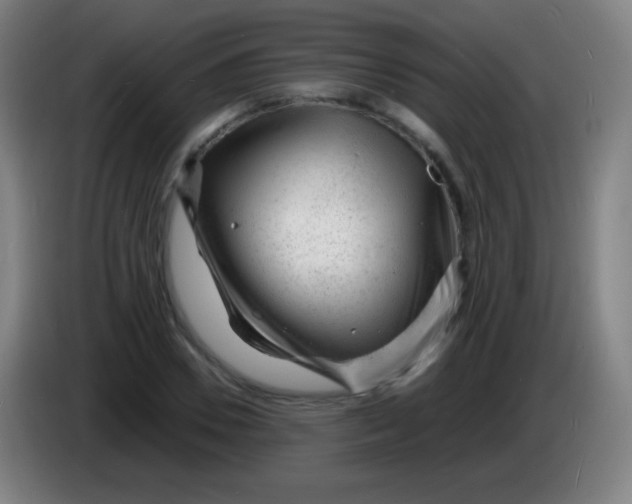 X0000085290930200703301935