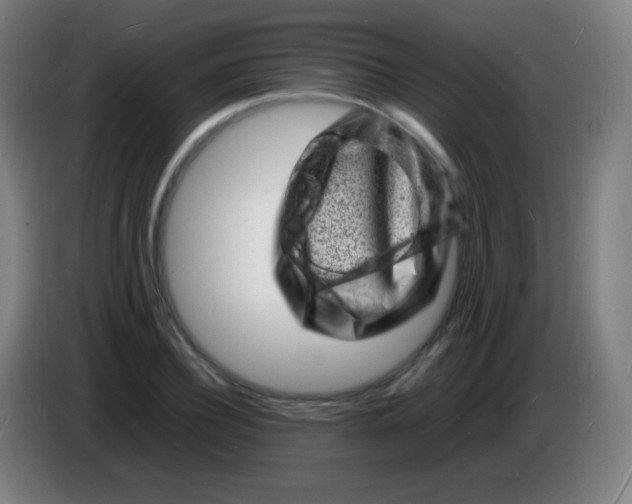 X0000085290932200703301935