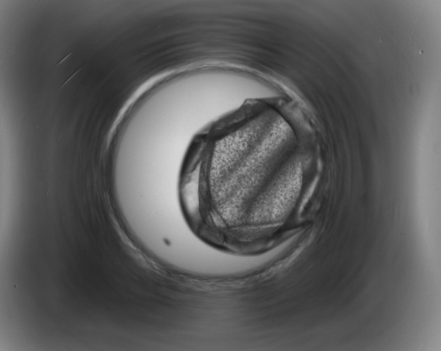 X0000085290934200703301935