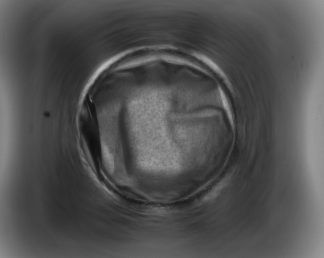X0000085290935200703301935