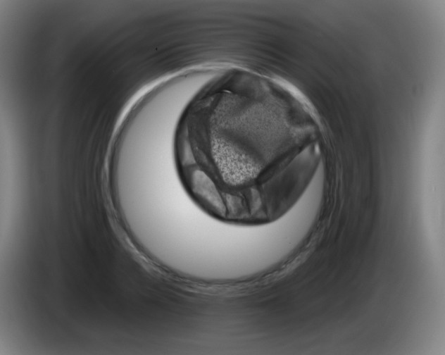 X0000085290936200703301935