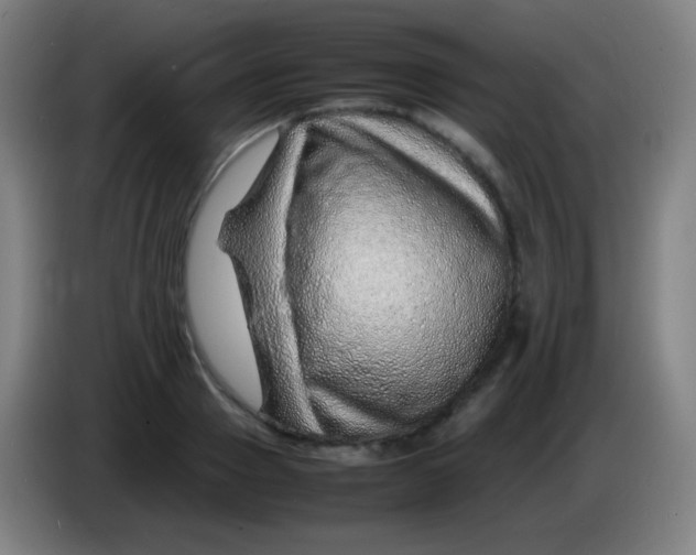 X0000085290937200703301935