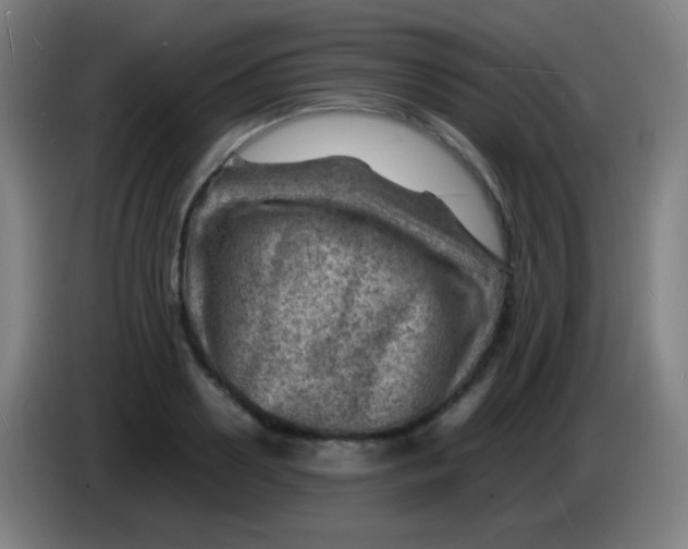 X0000085290938200703301935