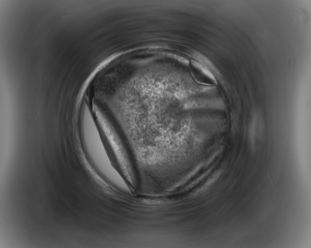 X0000085290939200703301935