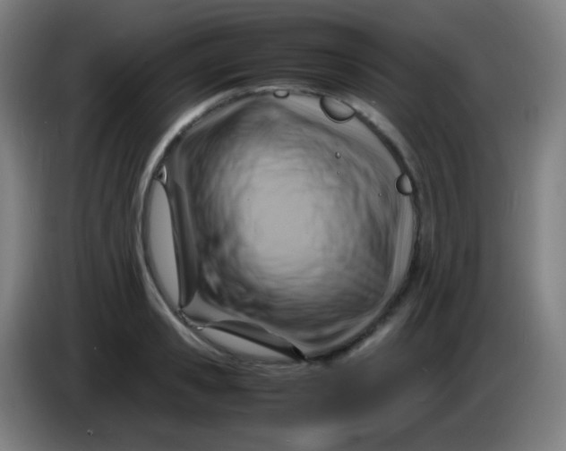 X0000085290941200703301935