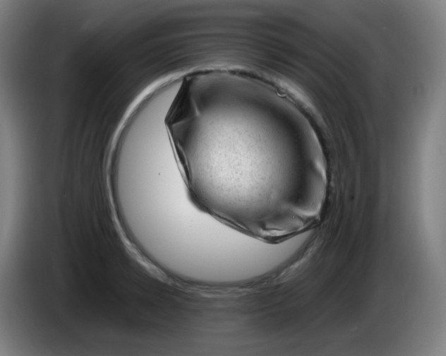 X0000085290942200703301935