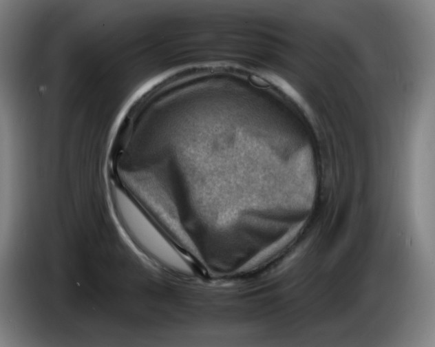 X0000085290943200703301935