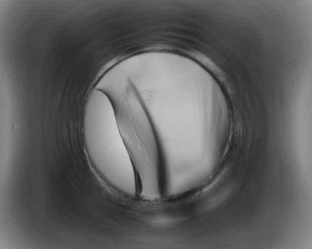 X0000085290945200703301935