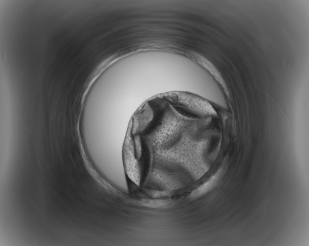 X0000085290946200703301935