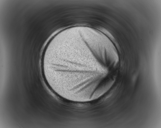X0000085290947200703301935