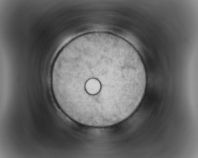 X0000085290950200703301935