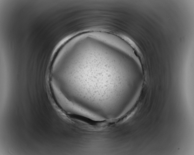 X0000085290952200703301935