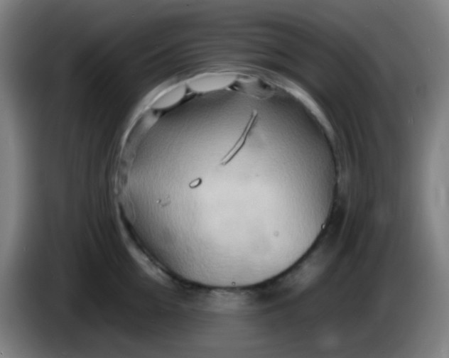 X0000085290954200703301935