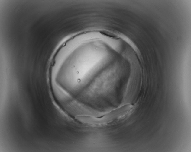 X0000085290958200703301935
