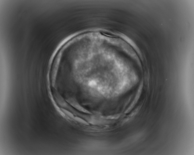 X0000085290959200703301935
