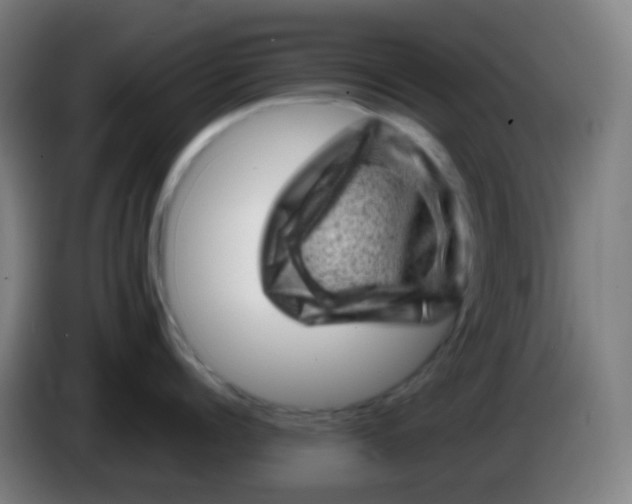 X0000085290960200703301935