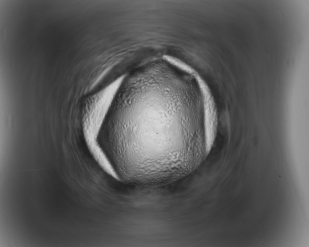 X0000085290963200703301934