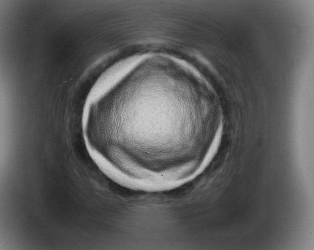 X0000085290967200703301934