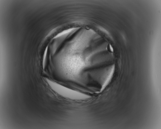 X0000085290968200703301934