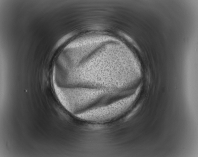 X0000085290970200703301934