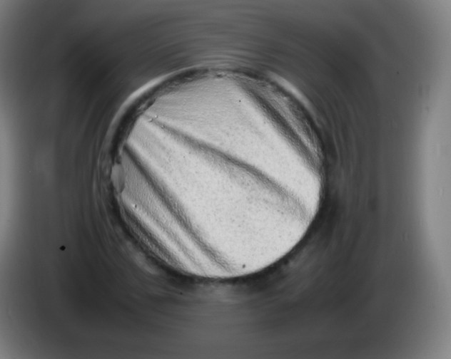 X0000085290971200703301934
