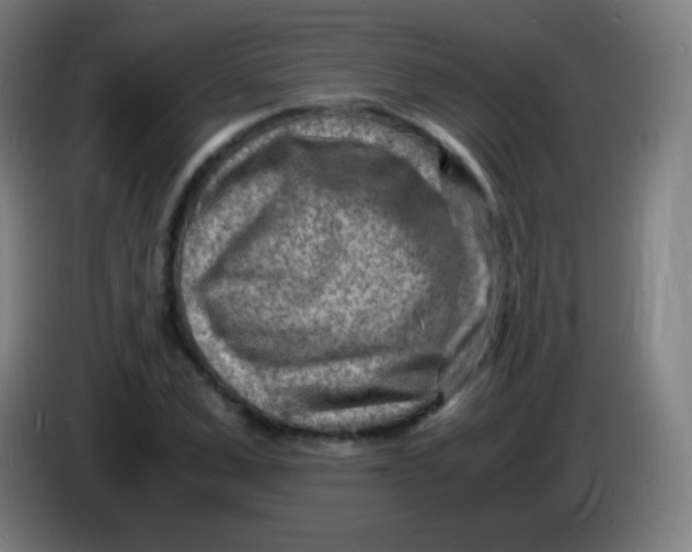 X0000085290975200703301934