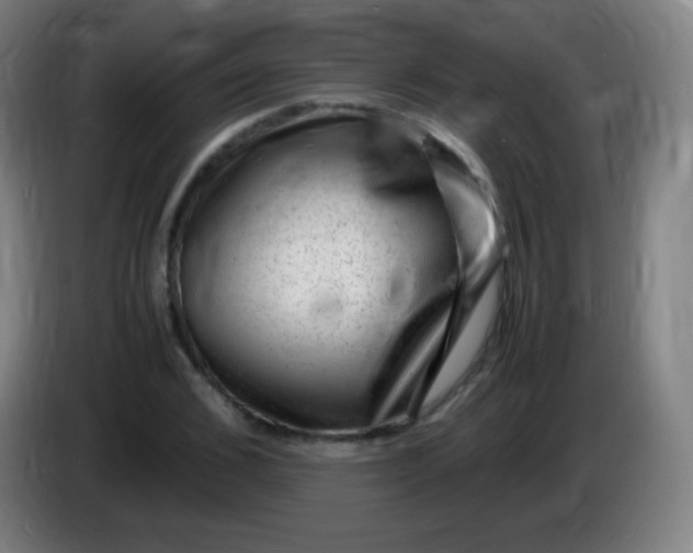 X0000085290976200703301934