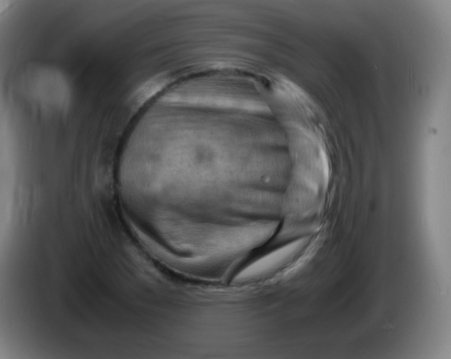 X0000085290977200703301934