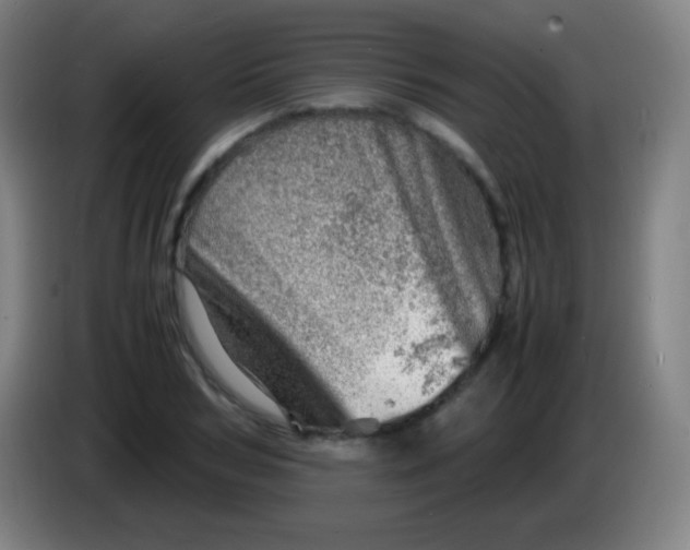 X0000085290978200703301934