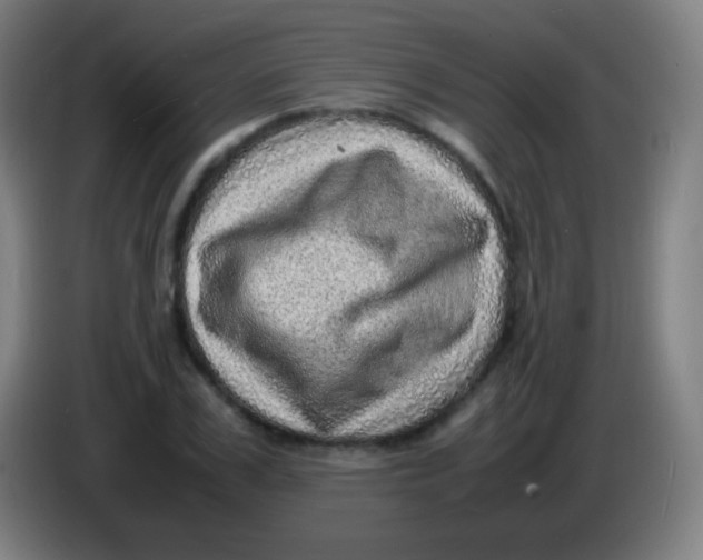 X0000085290979200703301934