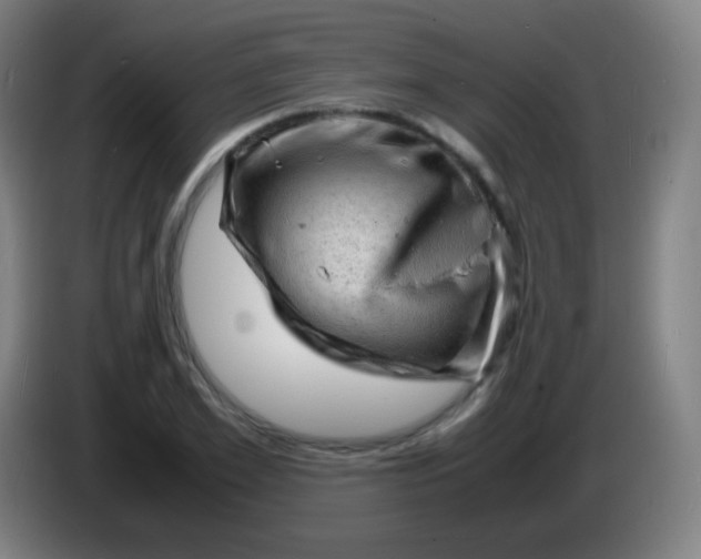 X0000085290981200703301934