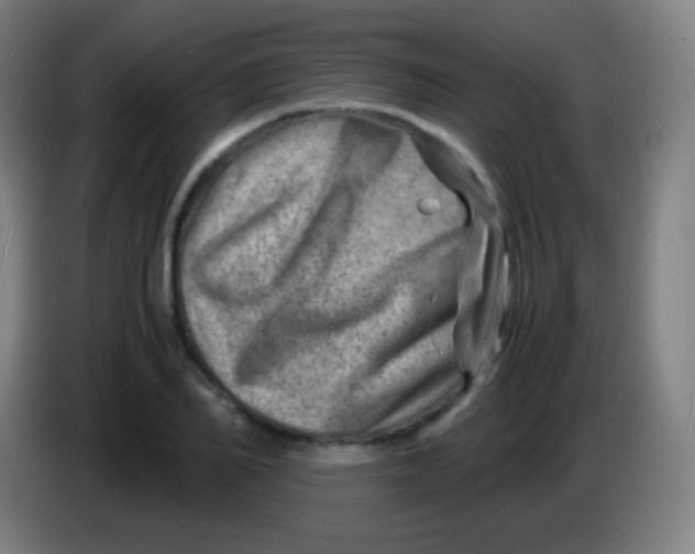 X0000085290982200703301934