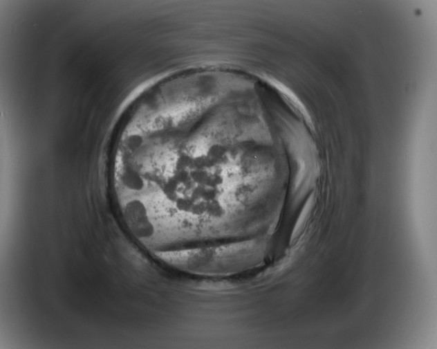 X0000085290983200703301934