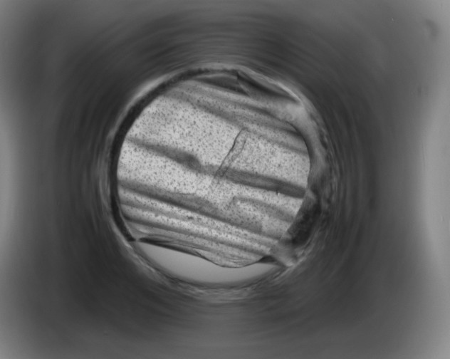 X0000085290984200703301934