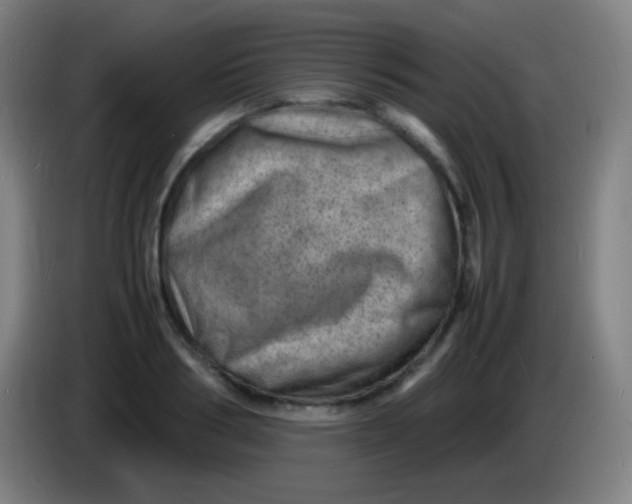 X0000085290986200703301934