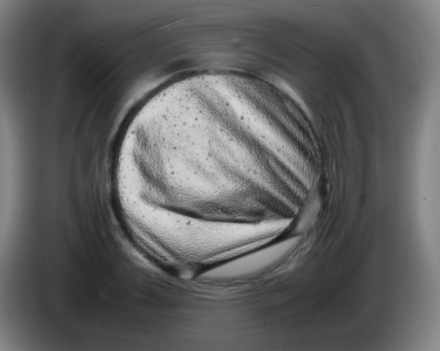 X0000085290987200703301934