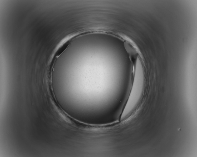 X0000085290989200703301934