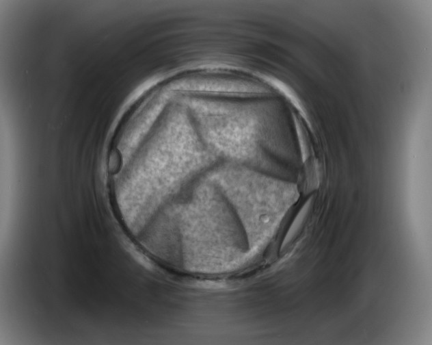X0000085290990200703301934