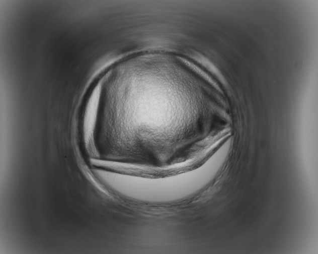 X0000085290991200703301934