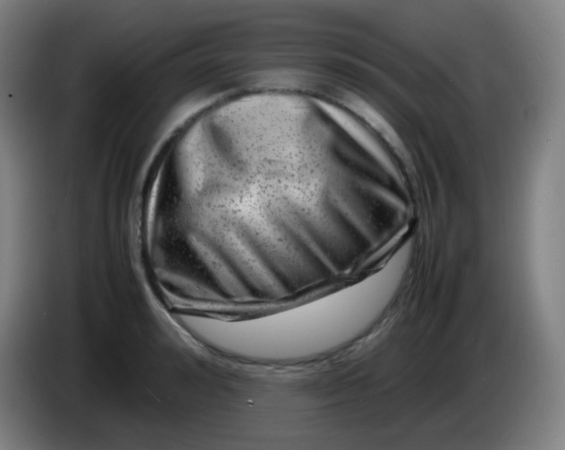 X0000085290992200703301934