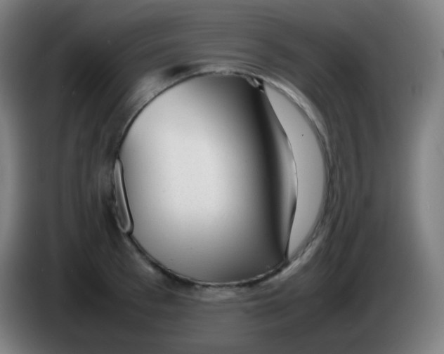 X0000085290993200703301934