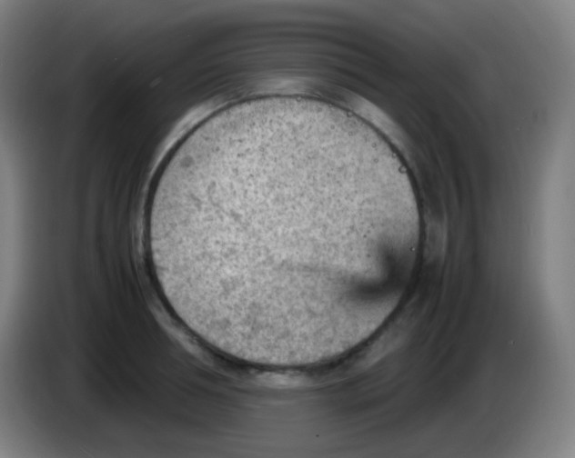 X0000085290994200703301934