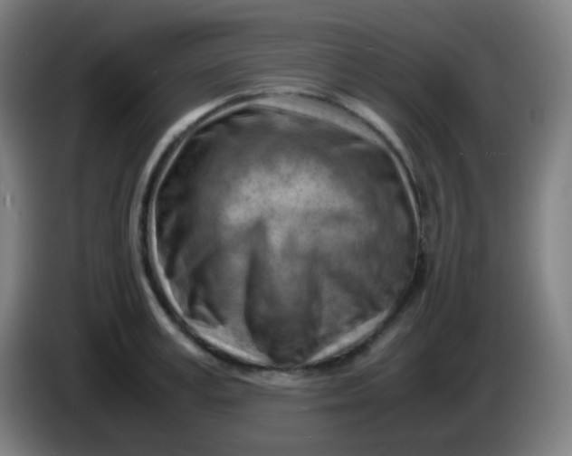 X0000085290995200703301934