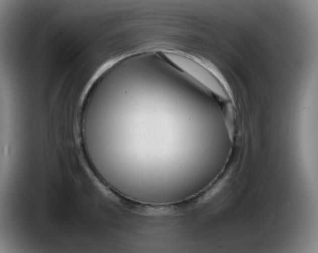 X0000085290997200703301934