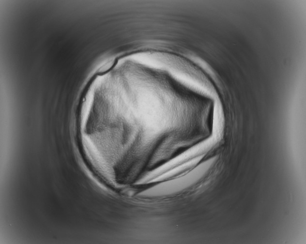 X0000085290999200703301934